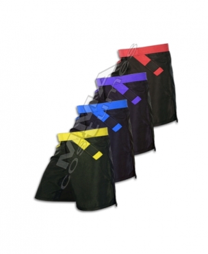 MMA Belt Rank Shorts